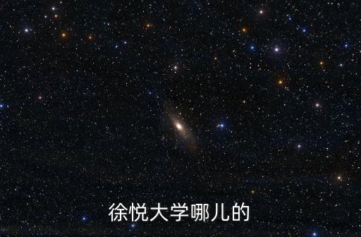 廣州東凌集團董事長徐悅，徐悅大學(xué)哪兒的