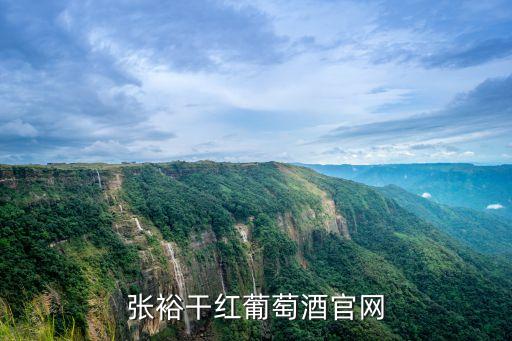 廣州張裕旗艦店，廣州哪里還能買到張裕白蘭地XO酒啊