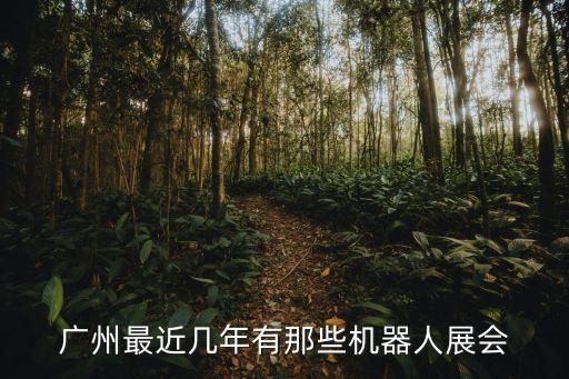 廣州最近幾年有那些機器人展會
