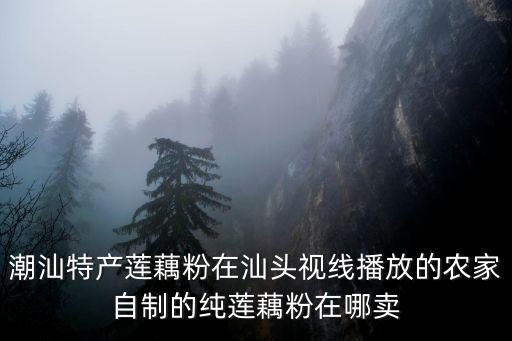 藕粉廣州那里有賣(mài)，湖北洪湖特產(chǎn)有哪些廣州哪里有賣(mài)