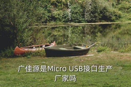 廣佳源是Micro USB接口生產廠家嗎