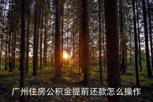 廣州提前還公積金房貸流程，廣州建行公積金申請提前還款程序