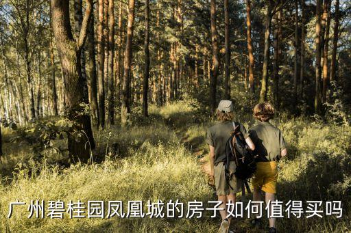 廣州碧桂園鳳凰城的房子如何值得買嗎