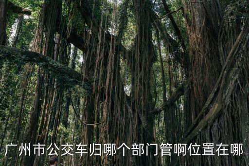 廣州市公交車歸哪個部門管啊位置在哪