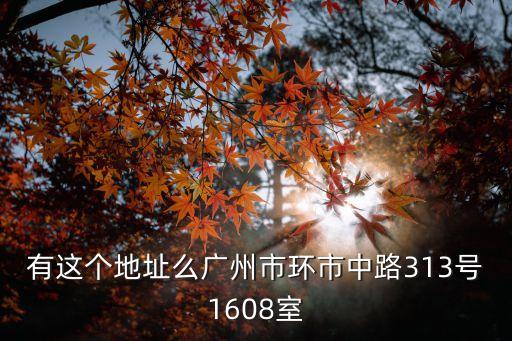 廣州濱海廣場艾灸，有這個地址么廣州市環市中路313號1608室