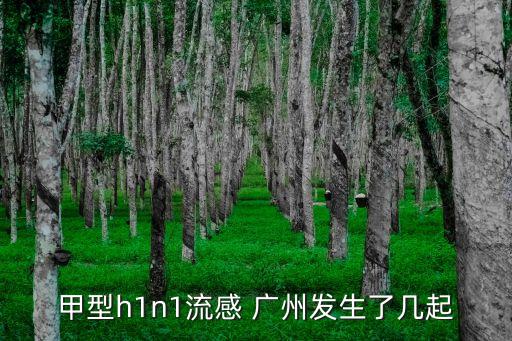 甲型h1n1流感 廣州發(fā)生了幾起