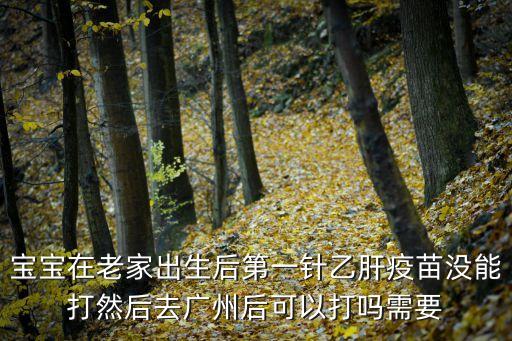 寶寶在老家出生后第一針乙肝疫苗沒能打然后去廣州后可以打嗎需要