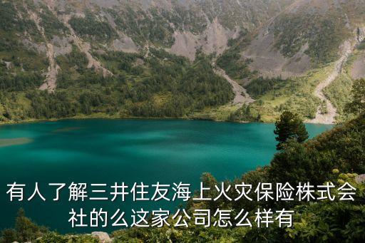 有人了解三井住友海上火災(zāi)保險(xiǎn)株式會(huì)社的么這家公司怎么樣有