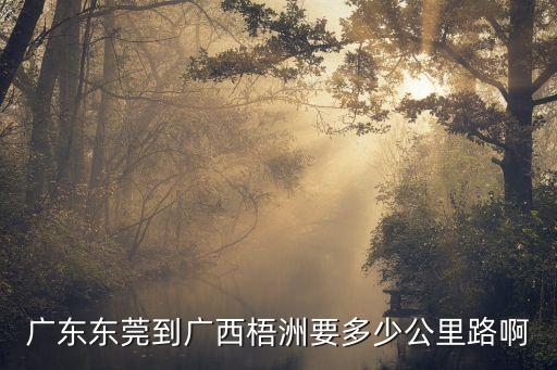 廣州東莞到廣西梧州有多遠(yuǎn)，東莞市到廣西梧州市有多少公里