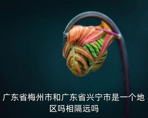 廣州梅州與興寧有多遠，廣州到梅州興寧有多遠
