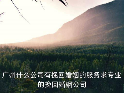 廣州什么公司有挽回婚姻的服務求專業的挽回婚姻公司