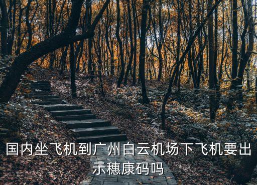 國內(nèi)坐飛機(jī)到廣州白云機(jī)場下飛機(jī)要出示穗康碼嗎