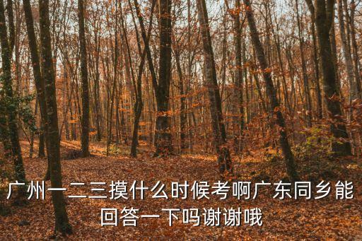 廣州一二三摸什么時(shí)候考啊廣東同鄉(xiāng)能回答一下嗎謝謝哦