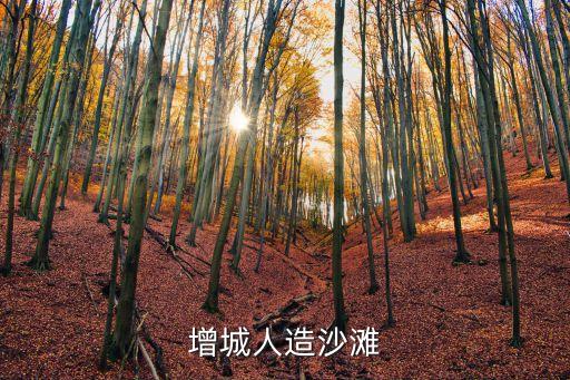 增城人造沙灘