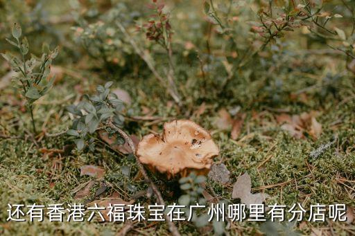 還有香港六福珠寶在廣州哪里有分店呢