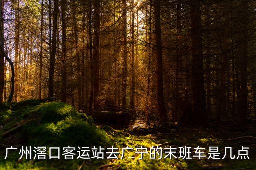 廣州東鄉村班子，東莞市區哪里賣的香水最正