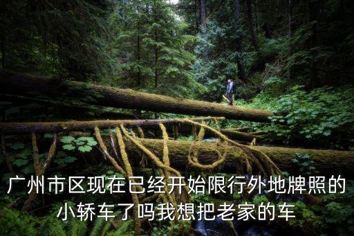 廣州市區(qū)現(xiàn)在已經(jīng)開始限行外地牌照的小轎車了嗎我想把老家的車