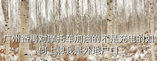 摩托車如何上廣州牌照，廣州番禺對摩托車加油的不是充電的如何上牌我是外地戶口