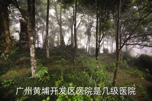 廣州開發區醫院南崗院區什么級別，廣州黃埔開發區醫院是幾級醫院