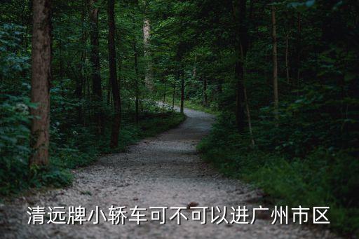 廣州都市圈不帶清遠，清遠牌小轎車可不可以進廣州市區