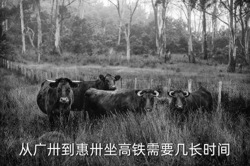 廣州到惠陽高鐵線，從廣卅到惠卅坐高鐵需要幾長時間