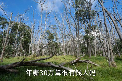 大學畢業5年在廣州年薪30萬，廣州年薪30萬的工作