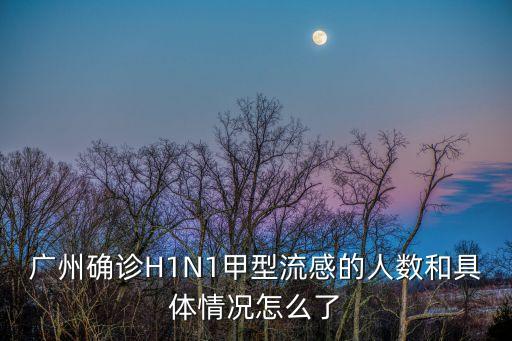 廣州確診H1N1甲型流感的人數和具體情況怎么了
