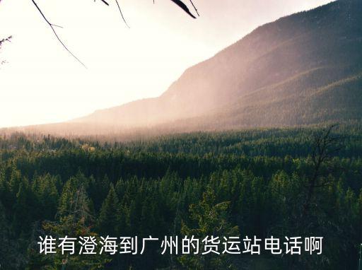 誰有澄海到廣州的貨運站電話啊