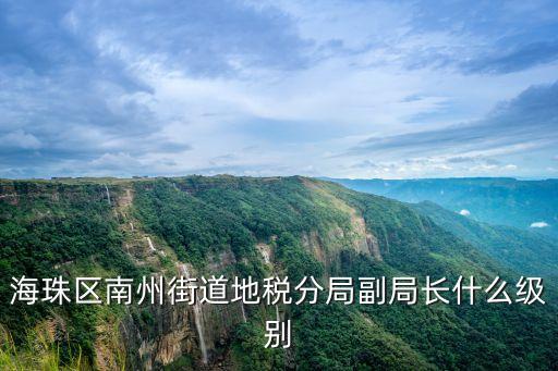 海珠區(qū)南州街道地稅分局副局長(zhǎng)什么級(jí)別