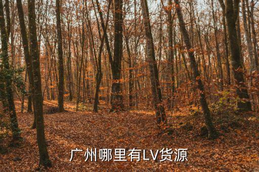 廣州哪里有LV貨源