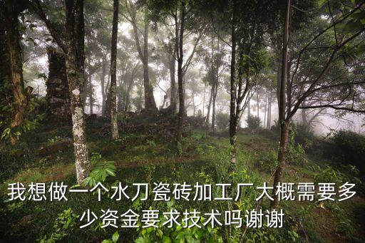 我想做一個水刀瓷磚加工廠大概需要多少資金要求技術嗎謝謝
