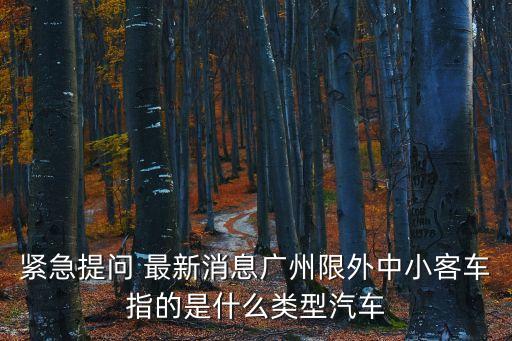 廣州限行怎么算小轎車，緊急提問 最新消息廣州限外中小客車指的是什么類型汽車