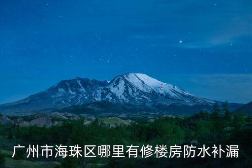 廣州市海珠區哪里有修樓房防水補漏