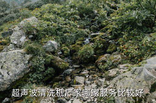 超聲波清洗機(jī)廠家哪家服務(wù)比較好