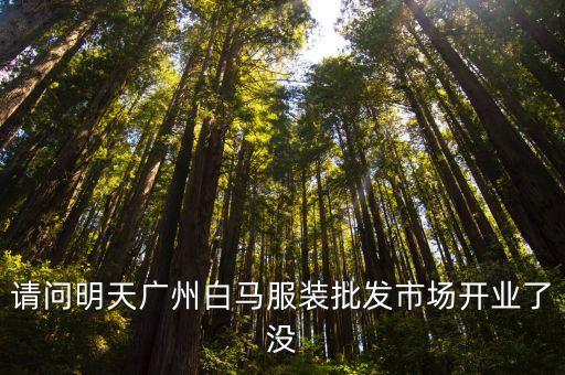 廣州白馬服裝市場開工沒有，廣州白馬服裝城什么時候開業