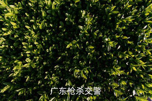 廣州市槍決紀錄片，一部片子是講死刑現場的