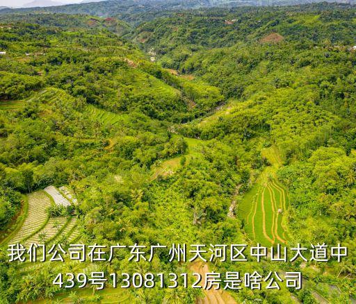 我們公司在廣東廣州天河區中山大道中439號13081312房是啥公司