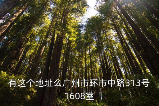 廣州金鹽回收店，有這個地址么廣州市環市中路313號1608室