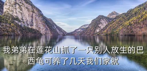 廣州蓮花山可以放生烏龜嗎，我弟弟在蓮花山抓了一只別人放生的巴西龜可養(yǎng)了幾天我們家就