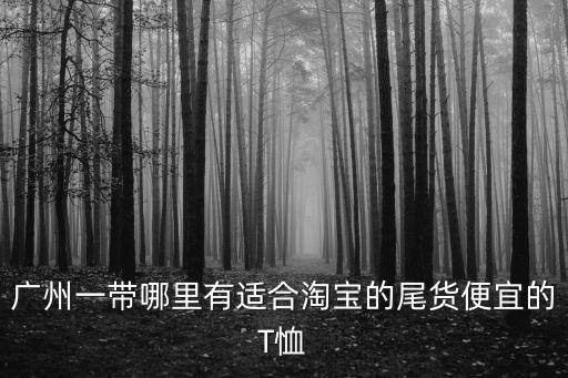 廣州正品t恤尾貨，廣州一帶哪里有適合淘寶的尾貨便宜的T恤