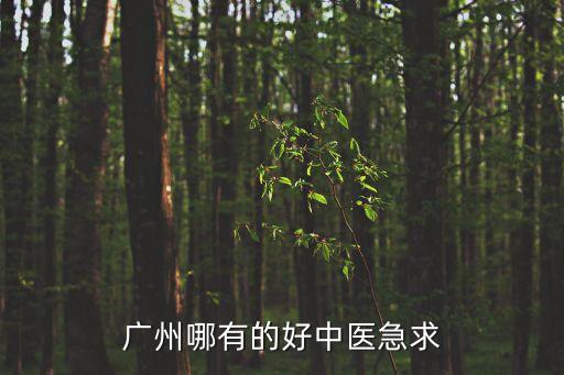 廣州哪有的好中醫(yī)急求
