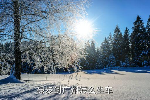 船步開往廣州，祿步到廣州怎么坐車