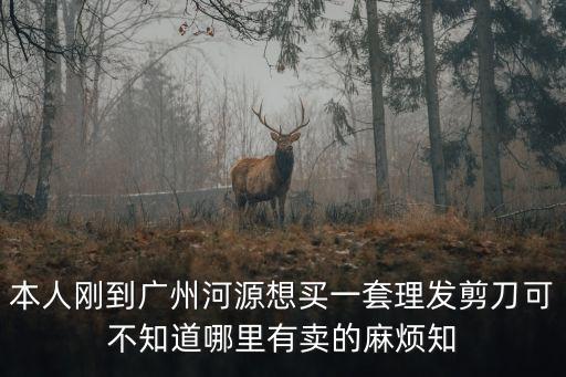本人剛到廣州河源想買一套理發(fā)剪刀可不知道哪里有賣的麻煩知