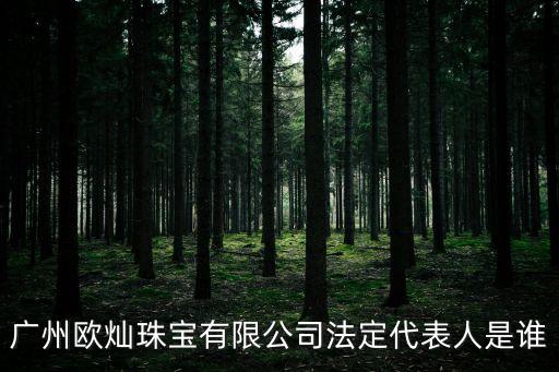 廣州歐燦珠寶有限公司法定代表人是誰