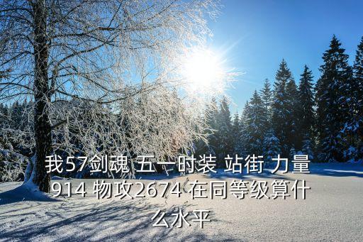 我57劍魂 五一時裝 站街 力量 914 物攻2674 在同等級算什么水平