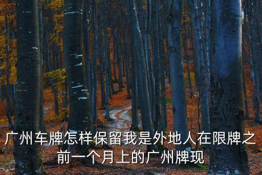廣州車牌怎樣保留我是外地人在限牌之前一個月上的廣州牌現