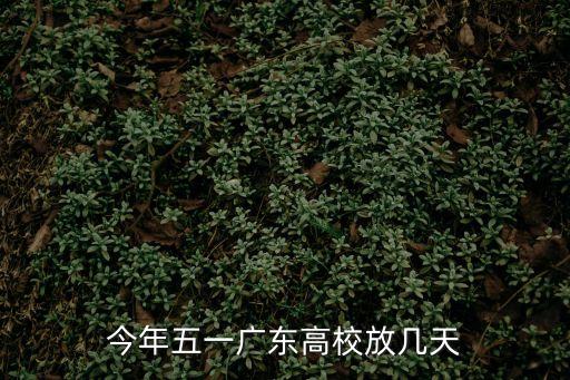 廣州五一學(xué)校放假幾天，廣東學(xué)生今年的五一節(jié)放幾天