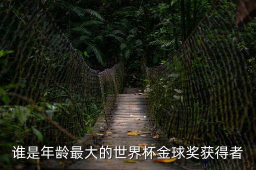 誰(shuí)是年齡最大的世界杯金球獎(jiǎng)獲得者