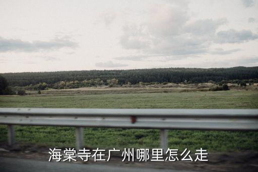 廣州的海棠寺，怎樣去廣州海棠寺