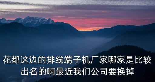 花都這邊的排線端子機廠家哪家是比較出名的啊最近我們公司要換掉